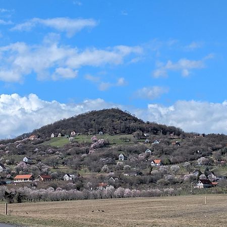 MonoszloKosbor Vendeghaz公寓 外观 照片