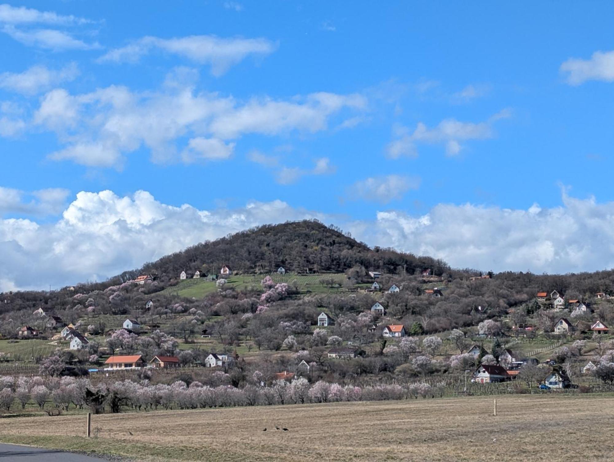MonoszloKosbor Vendeghaz公寓 外观 照片